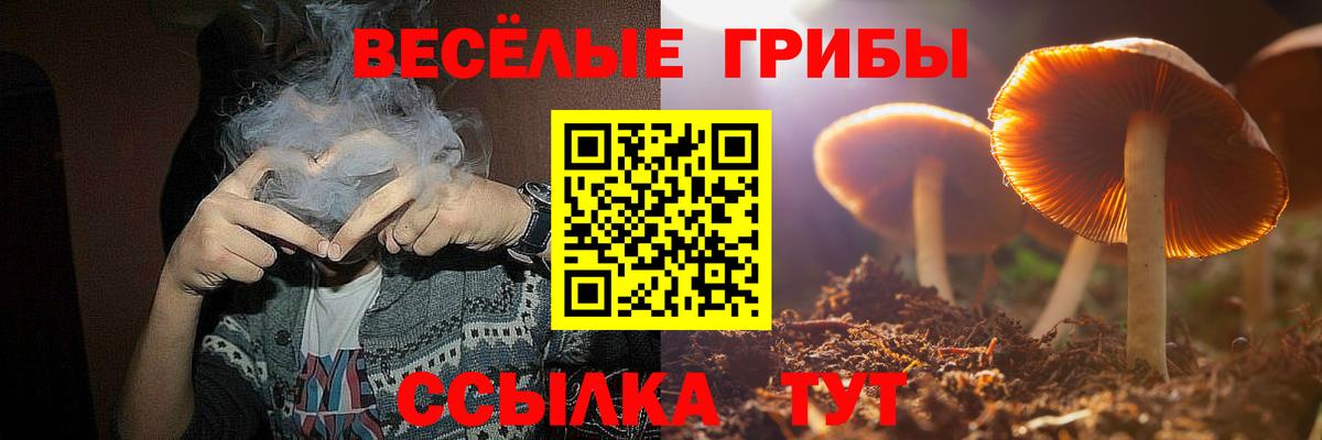 Галлюциногенные грибы GOLDEN TEACHER  дарнет шоп  Галлюциногенные грибы MAGIC MUSHROOMS  Тамбов  Вход с VPN 